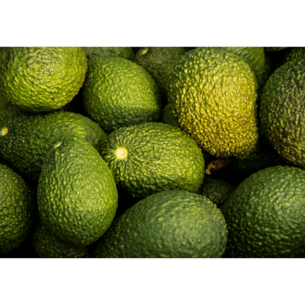 Aguacate - Image 2